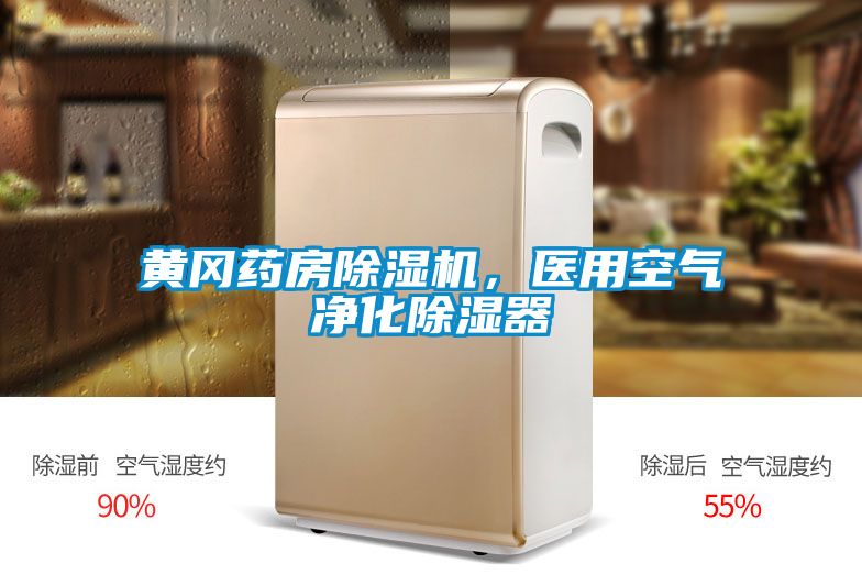 黃岡藥房除濕機，醫(yī)用空氣凈化除濕器