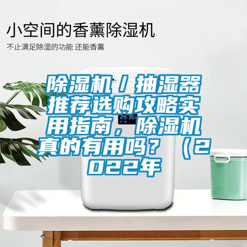 除濕機／抽濕器推薦選購攻略實用指南，除濕機真的有用嗎？（2022年