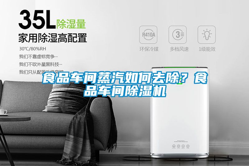 食品車間蒸汽如何去除？食品車間除濕機