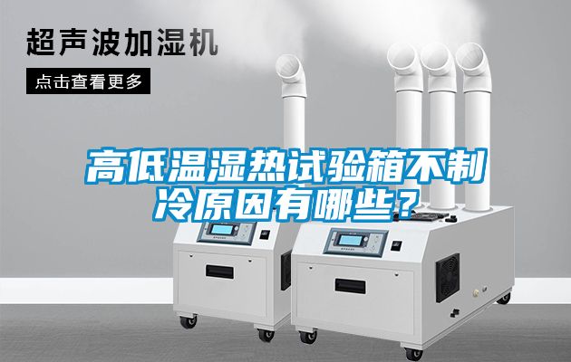 高低溫濕熱試驗箱不制冷原因有哪些？