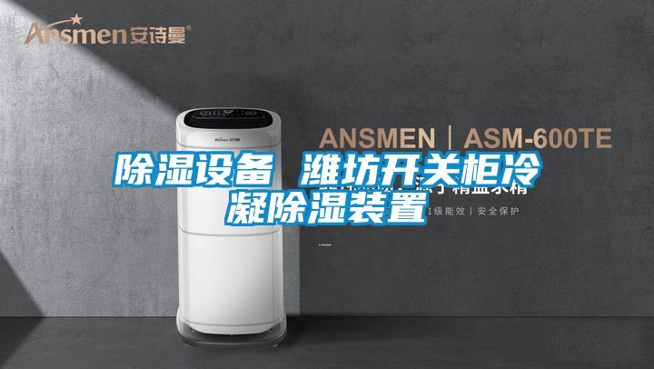 除濕設備 濰坊開關(guān)柜冷凝除濕裝置