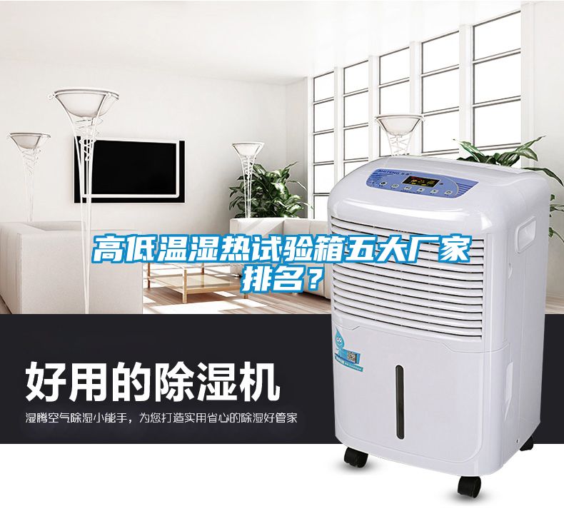 高低溫濕熱試驗箱五大廠家排名？
