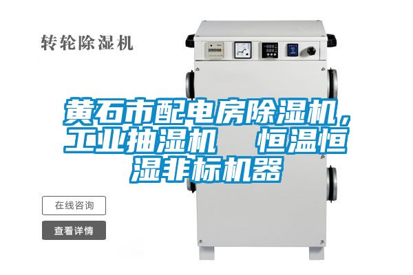 黃石市配電房除濕機，工業(yè)抽濕機  恒溫恒濕非標機器