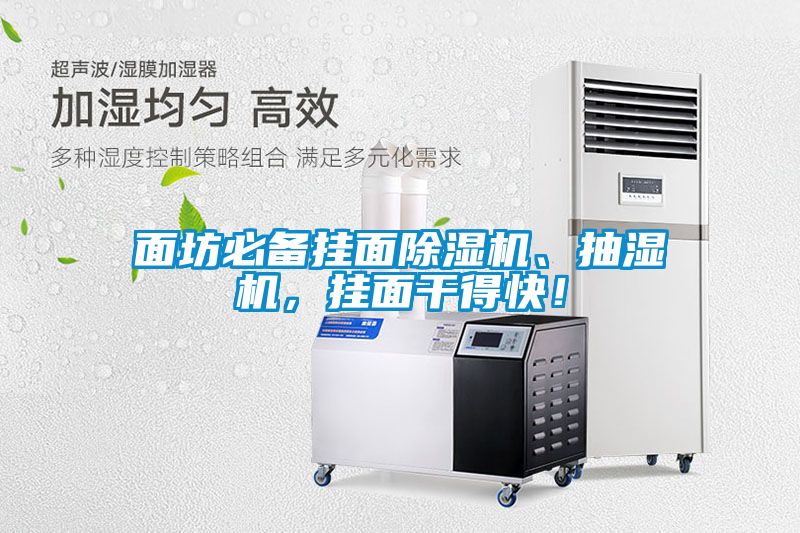面坊必備掛面除濕機、抽濕機，掛面干得快！