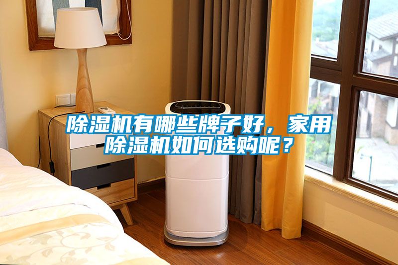 除濕機有哪些牌子好，家用除濕機如何選購呢？