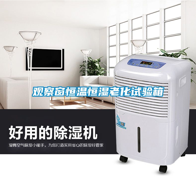 觀(guān)察窗恒溫恒濕老化試驗(yàn)箱