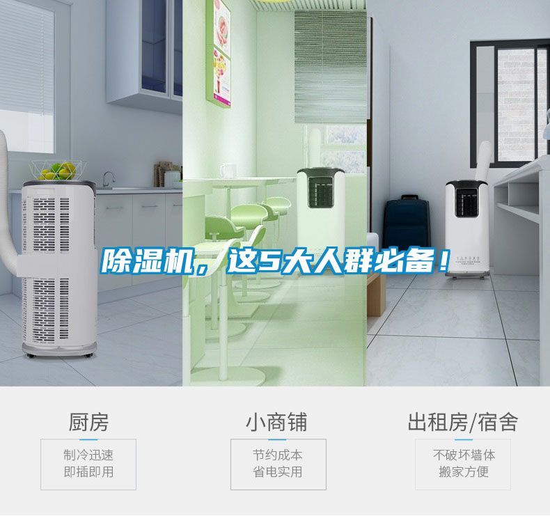 除濕機，這5大人群必備！