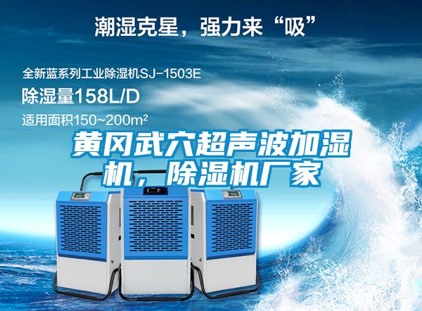 黃岡武穴超聲波加濕機，除濕機廠家