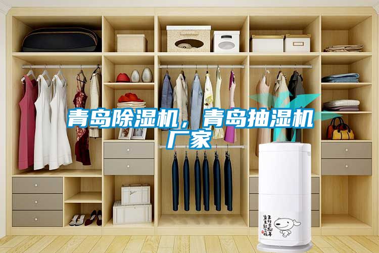青島除濕機(jī)，青島抽濕機(jī)廠(chǎng)家