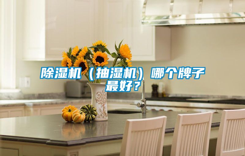 除濕機（抽濕機）哪個牌子最好？