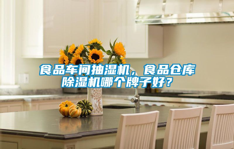 食品車間抽濕機，食品倉庫除濕機哪個牌子好？