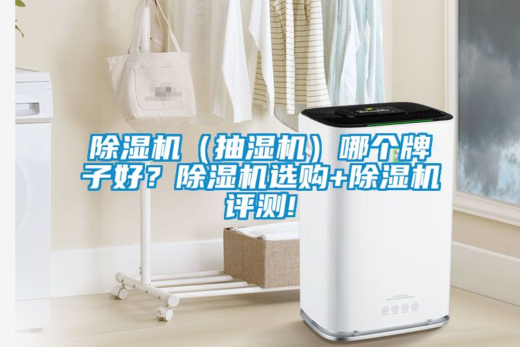 除濕機（抽濕機）哪個牌子好？除濕機選購+除濕機評測!