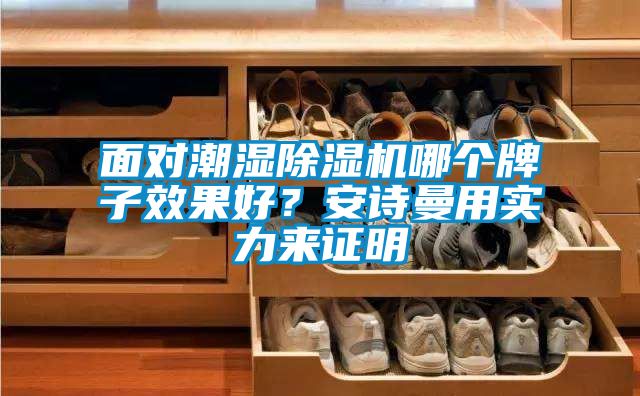 面對潮濕除濕機哪個牌子效果好？安詩曼用實力來證明