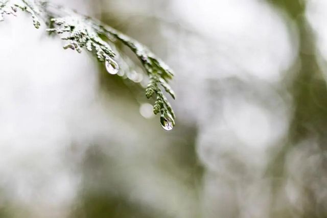空氣濕度大帶來的危害有哪些，你知道嗎？