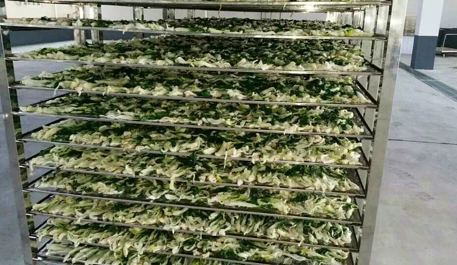 菜干需求一直都很大，蔬菜烘干機(jī)很有市場(chǎng)